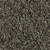Horizon CarpetNatural Structure I